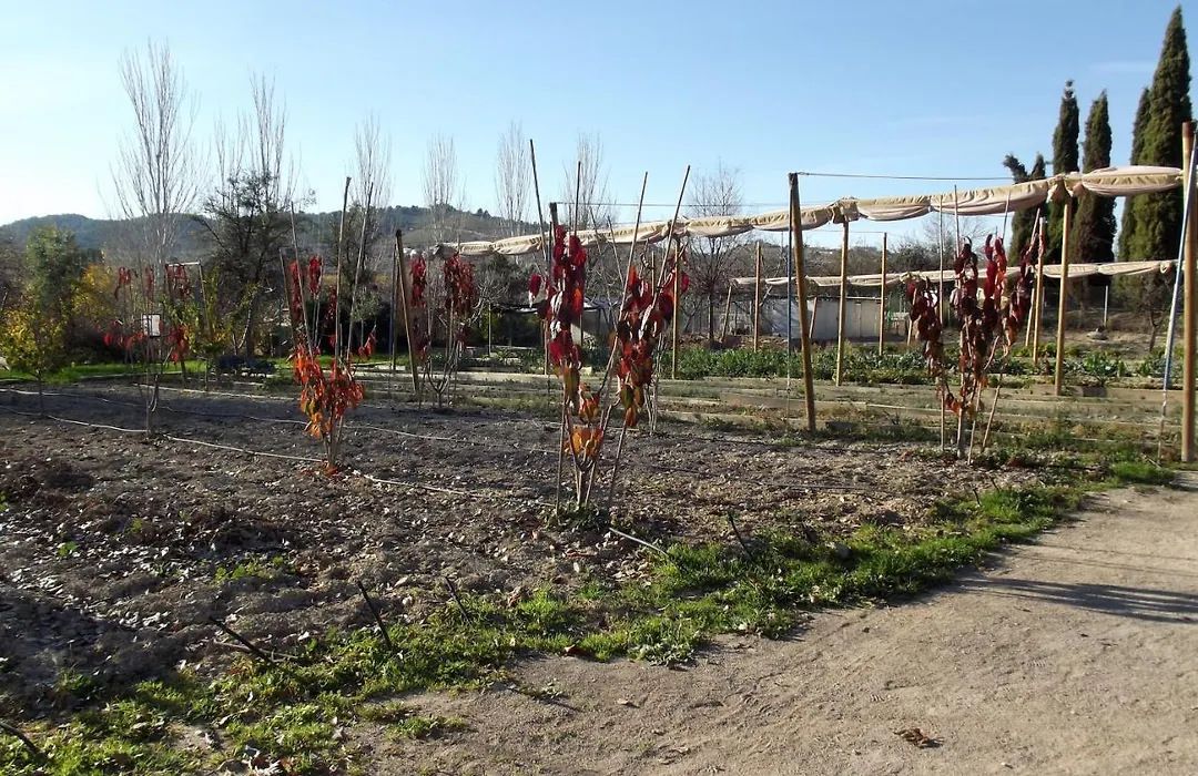 Centro de Agroecologia y Medio Ambiente de Murcia-1
